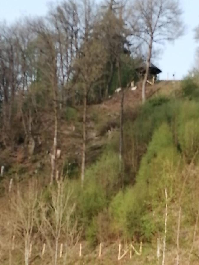 Bed and breakfast L'ourthe *